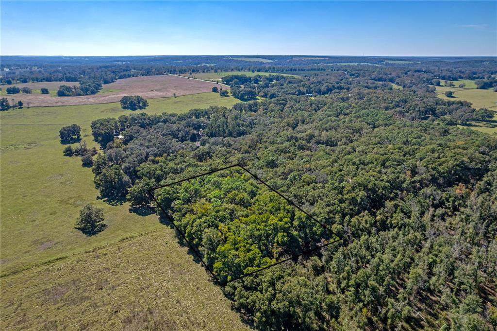 0 Honey Lane - Photo 1