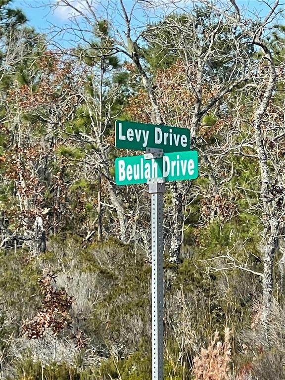 00 No Assigned Address Drive - Photo 1