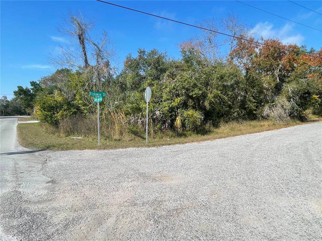 3339 Fiskway Street - Photo 1