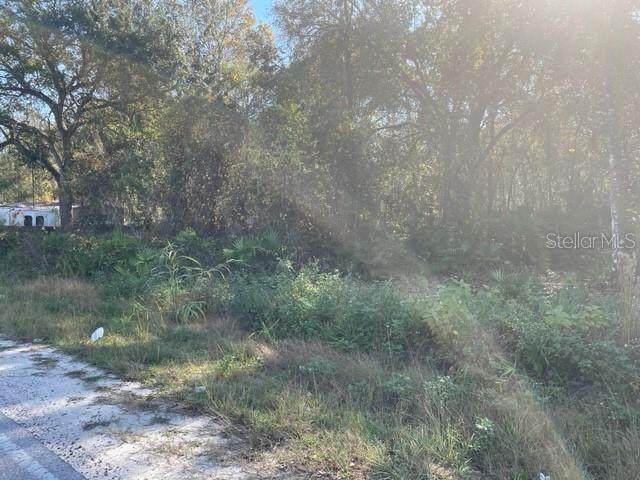 Lake Drive - Photo 1
