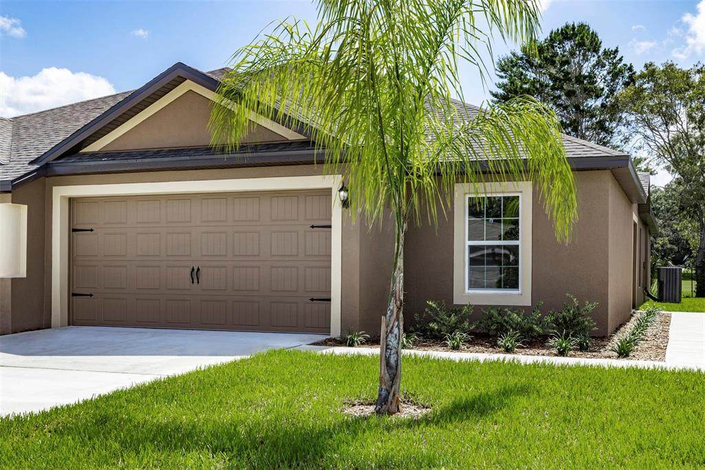 8939 Southern Charm Circle - Photo 1