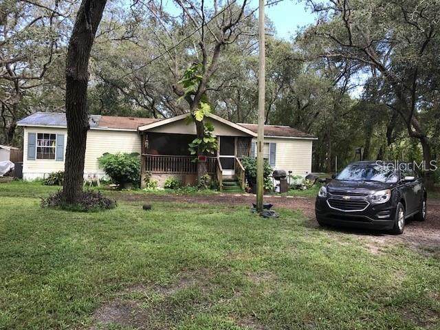 10641 Atlee Street - Photo 1