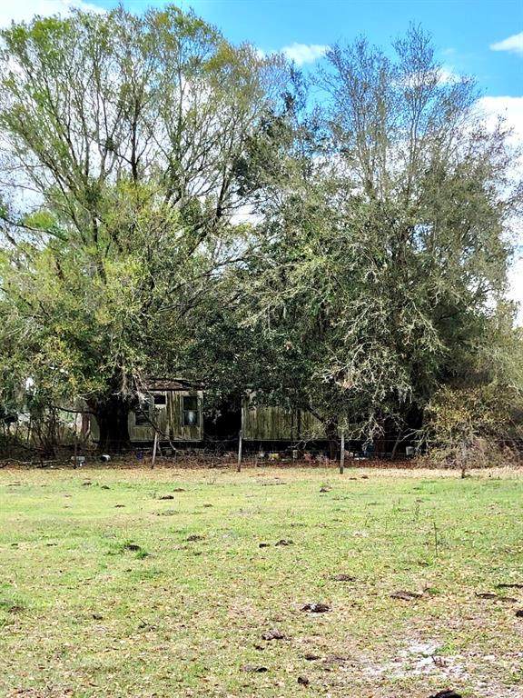 5720 Russo Road - Photo 1