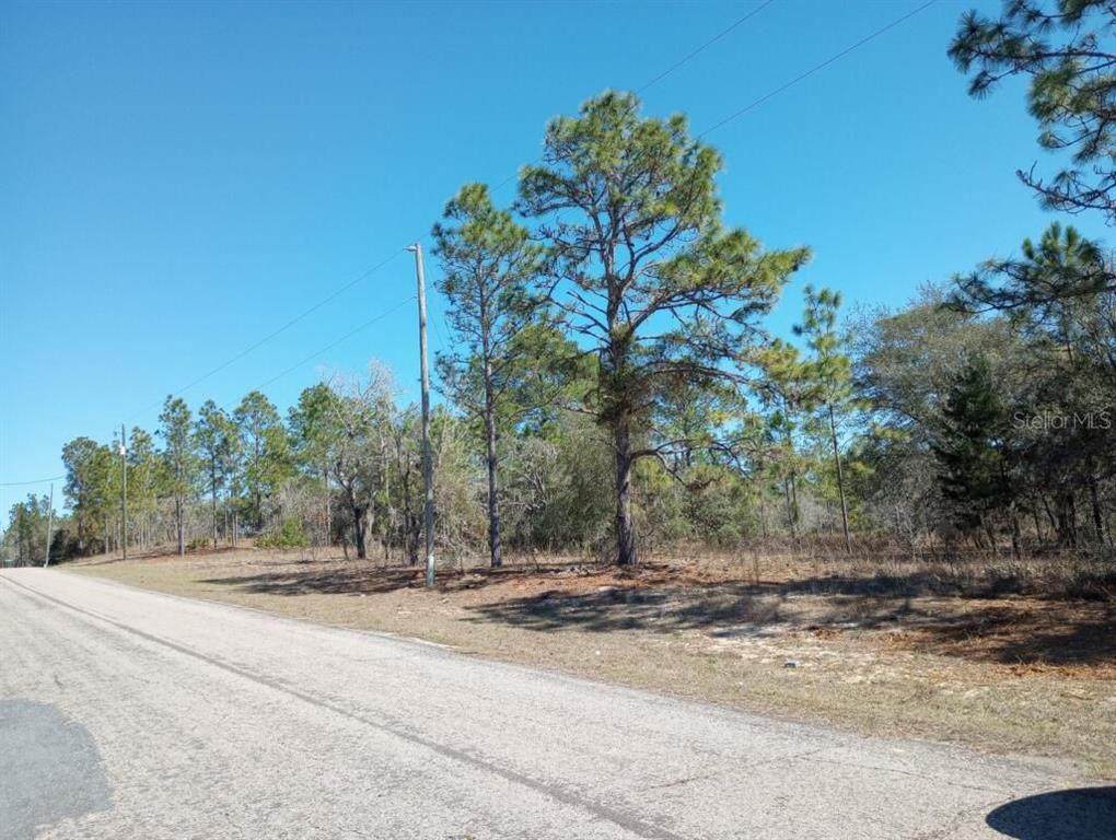 6499 Waycross Way - Photo 1