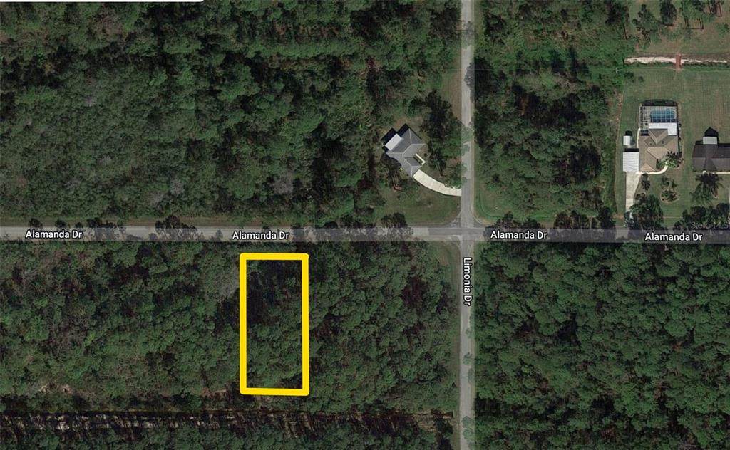 205 Allamanda Drive - Photo 1