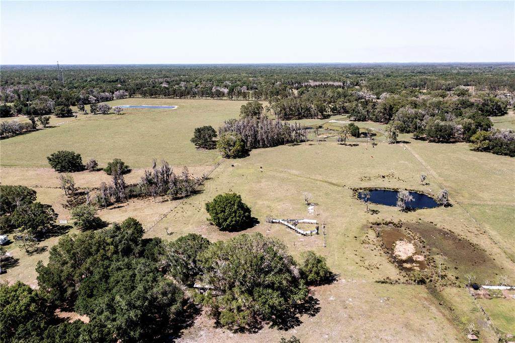 8206 Back Road - Photo 1