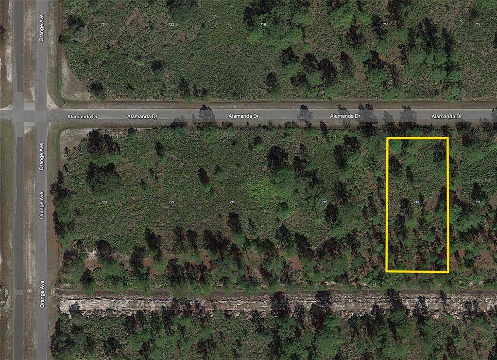 713 Allamanda Drive - Photo 1