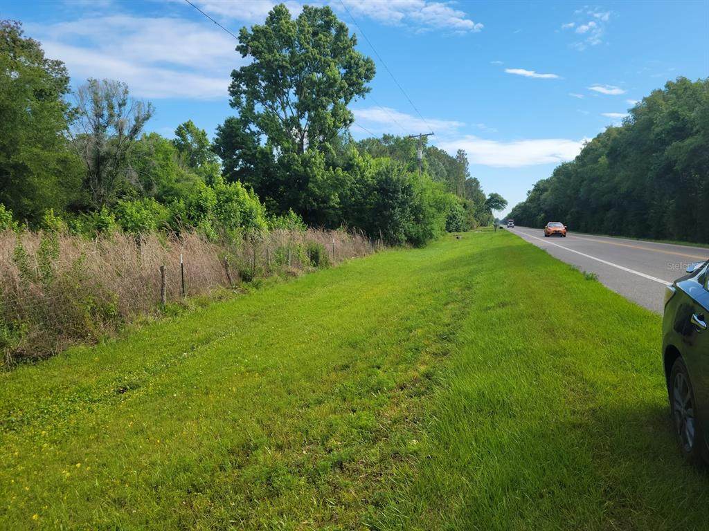 14838 301 Highway - Photo 1
