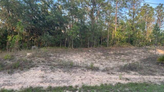 6167 Rio Grande Drive - Photo 1