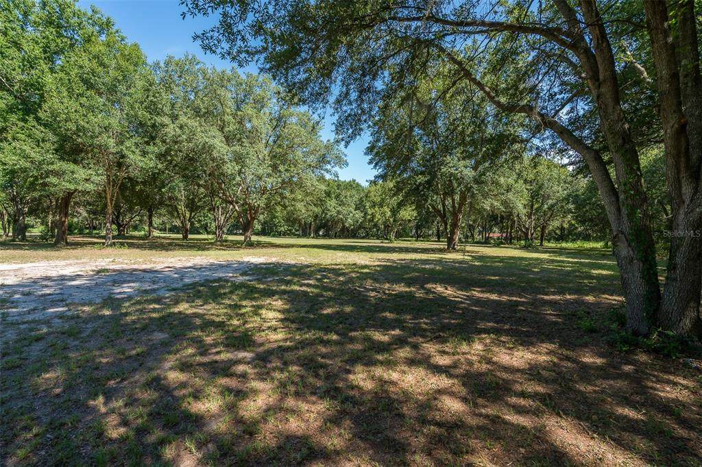 14621 Salem Church Road - Photo 1
