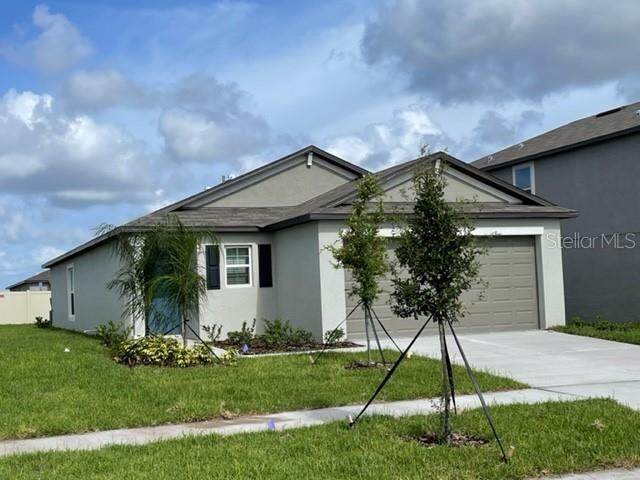 16691 Kingman Reef Street - Photo 1