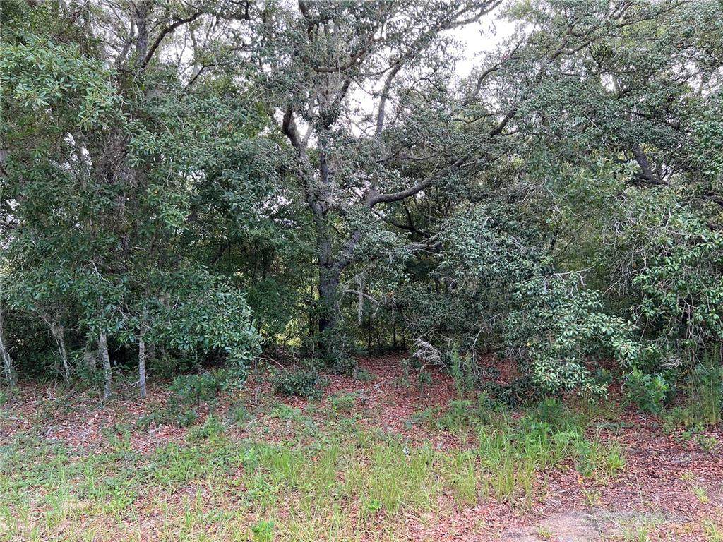 9165 Dory Pt - Photo 1