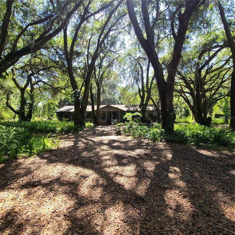 4313 Platt Road - Photo 1