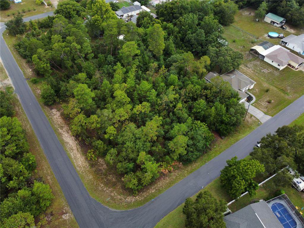 8273 Scotch Pine Avenue - Photo 1