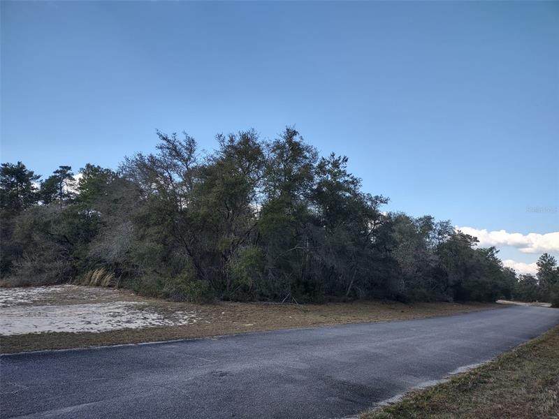 Unit 5 Blk 855 - Photo 1