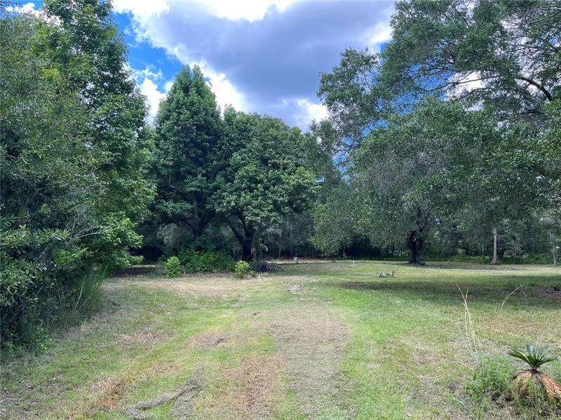 6552 Morrell Court - Photo 1