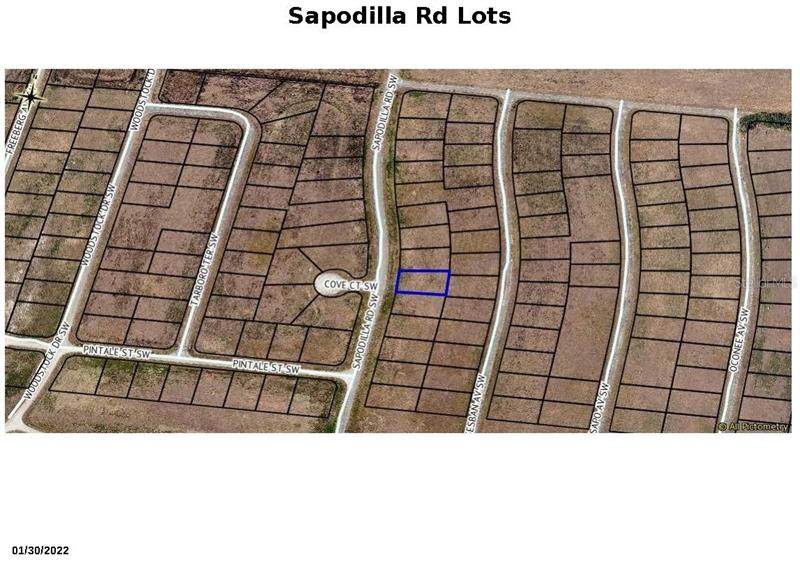 2397 Sapodilla Road - Photo 1