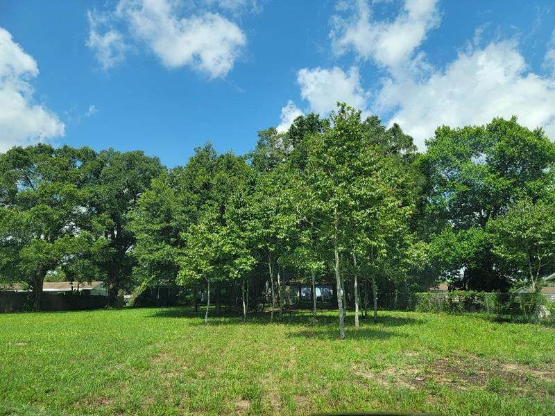 3291 Mckethan Road - Photo 1
