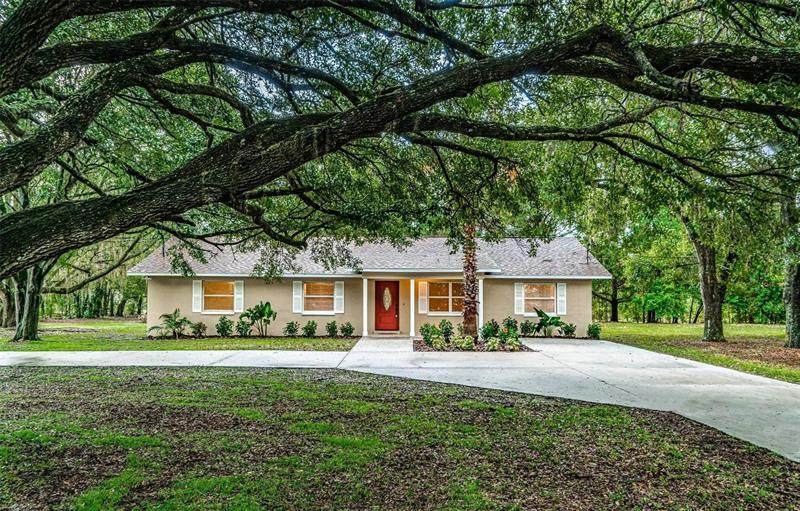 6610 Papa Guy Lane - Photo 1