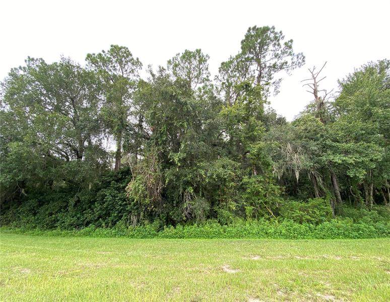 Lithia Pinecrest Rd. - Photo 1