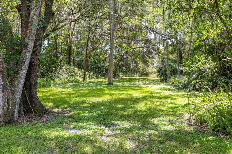 1115 River Drive - Photo 1
