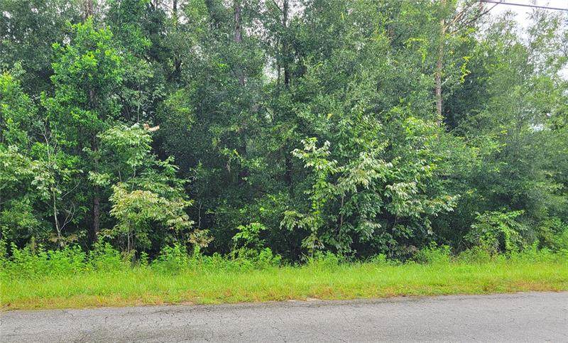 0022 Centennial Road - Photo 1