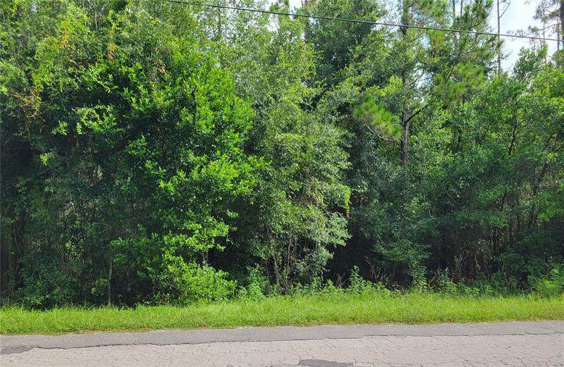 0011 Centennial Road - Photo 1