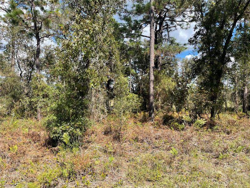 1727 Skyline Drive - Photo 1