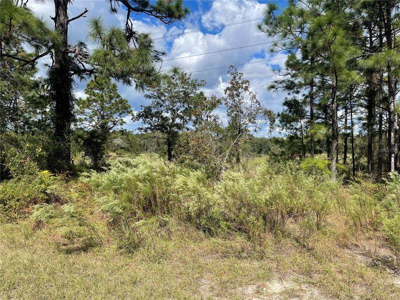 1773 Skyline Drive - Photo 1