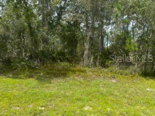 8111 Nordica Rd - Photo 1