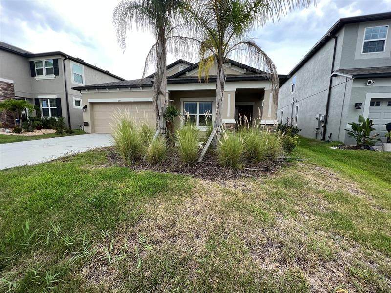 11317 Alachua Creek Lane - Photo 1
