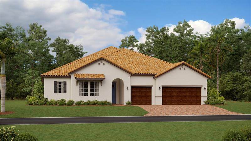 5333 Windy Grove Drive - Photo 1