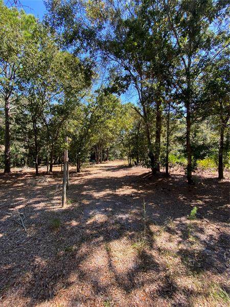 11991 Flaxen Drive - Photo 1