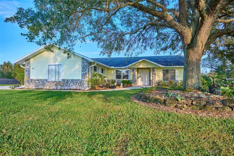 6197 Avocado Drive - Photo 1