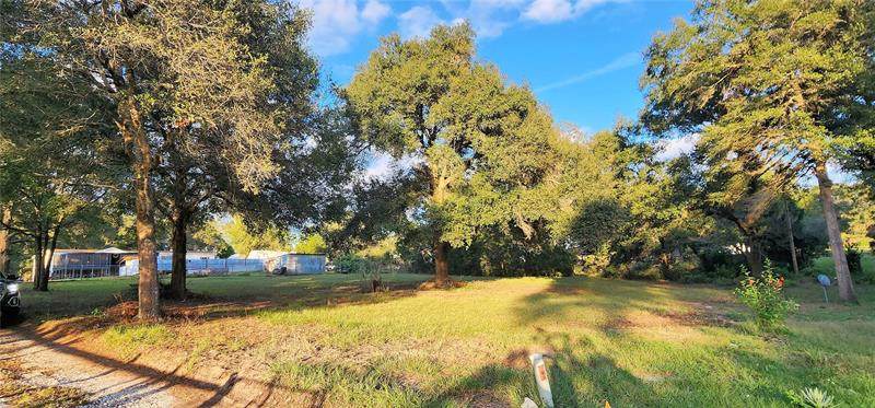 19132 Adirondack Terrace - Photo 1