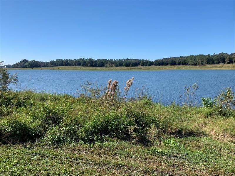 10351 Us Highway 301 - Photo 1