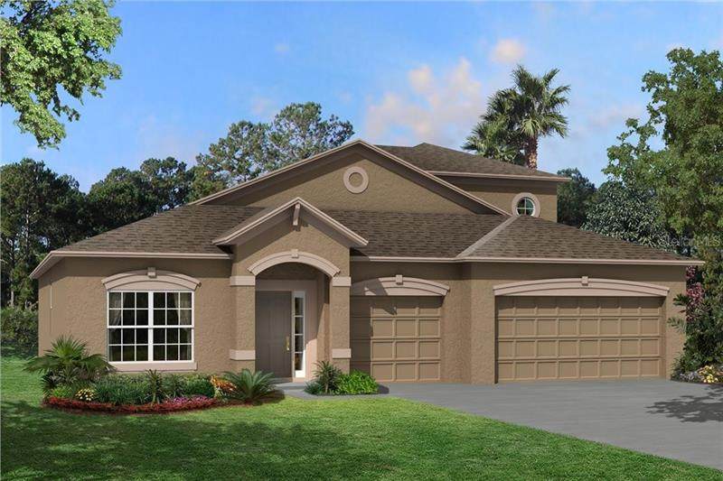 32169 Sapna Chime Drive - Photo 1