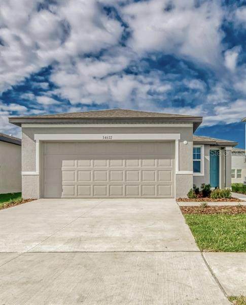 34672 Telluride Lane - Photo 1