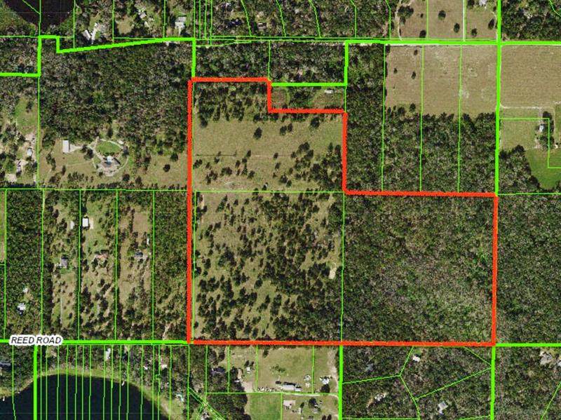 31501 Reed Road - Photo 1