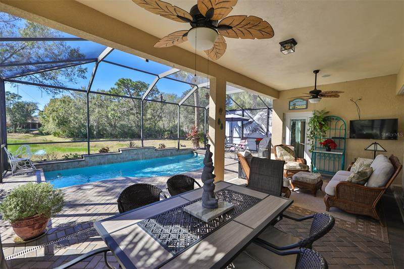 807 King Leon Way - Photo 1