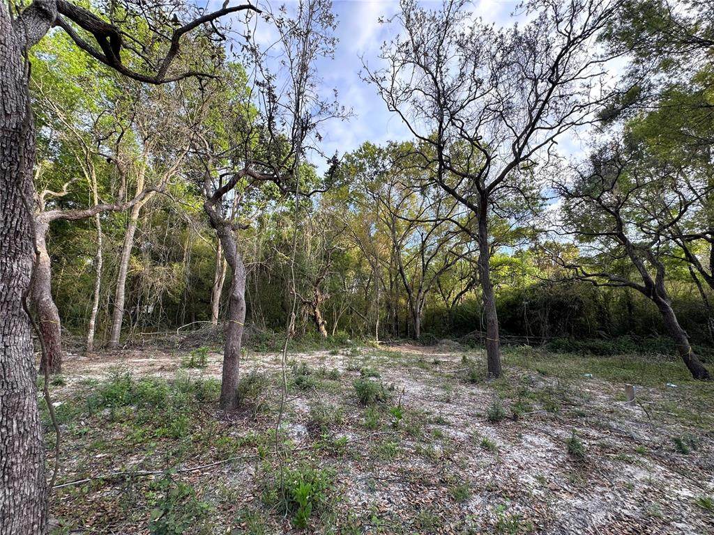 11957 Minnieola Drive - Photo 1