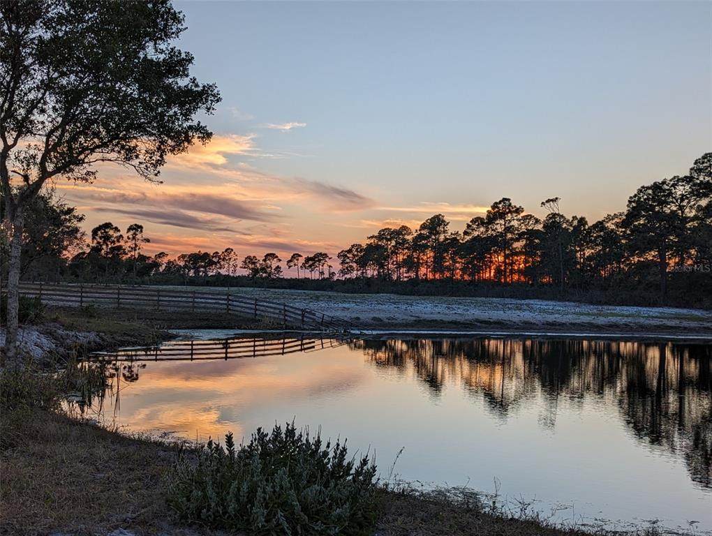 405 Stacy Grove Road - Photo 1