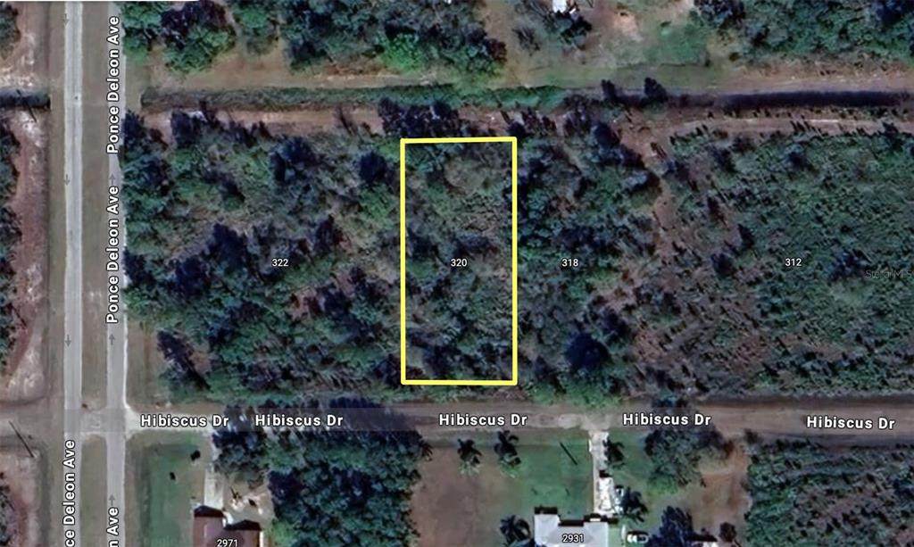 320 Hibiscus Drive - Photo 1