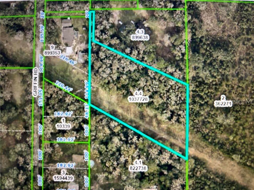 7194 Griffin Road - Photo 1