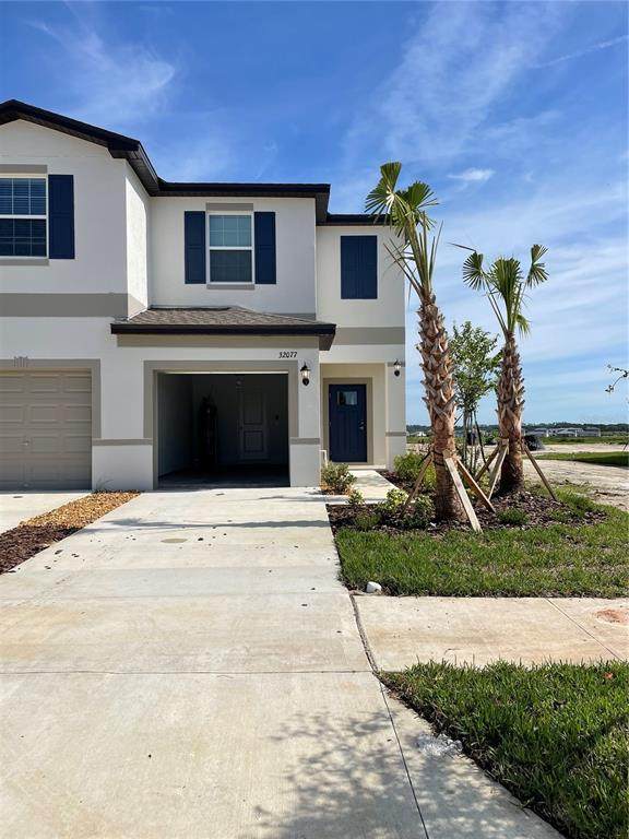 32077 Powderpuff Mimosa Drive - Photo 1