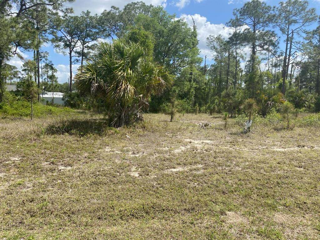 8014 Sandalwood Circle - Photo 1