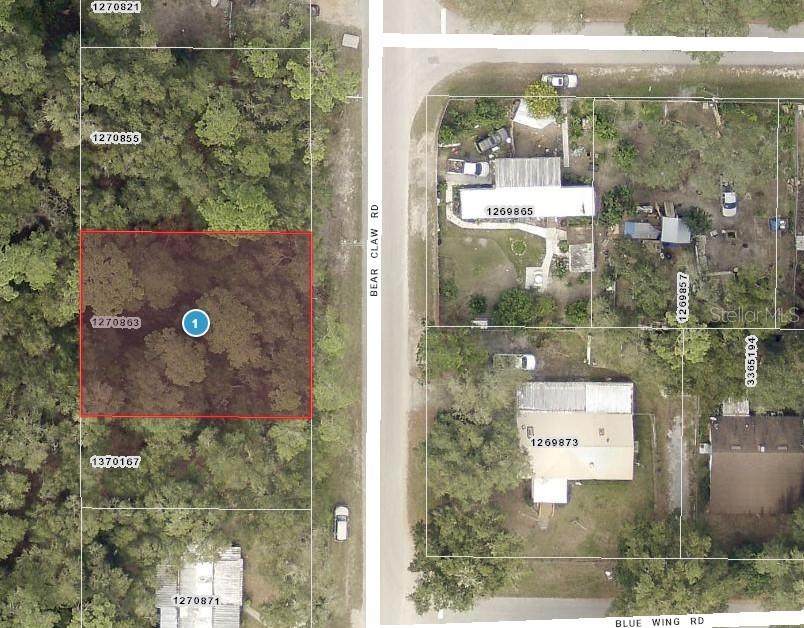 Lots 11 & 12 Bear Claw Road - Photo 1