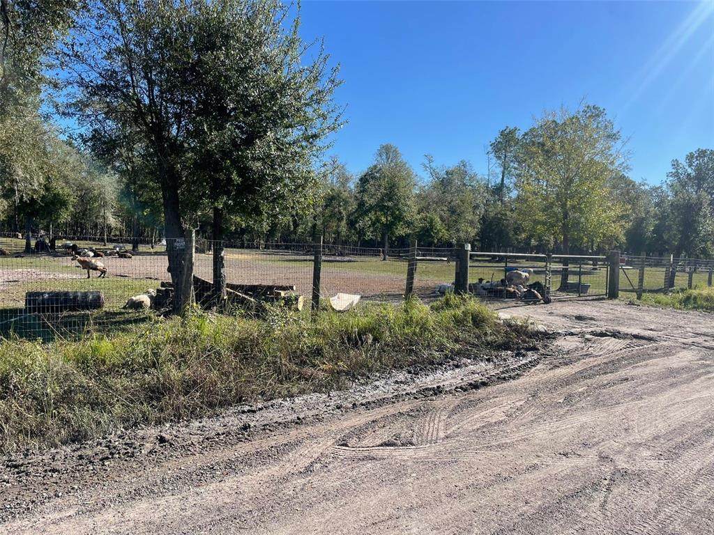 2609 Forestland Drive - Photo 1
