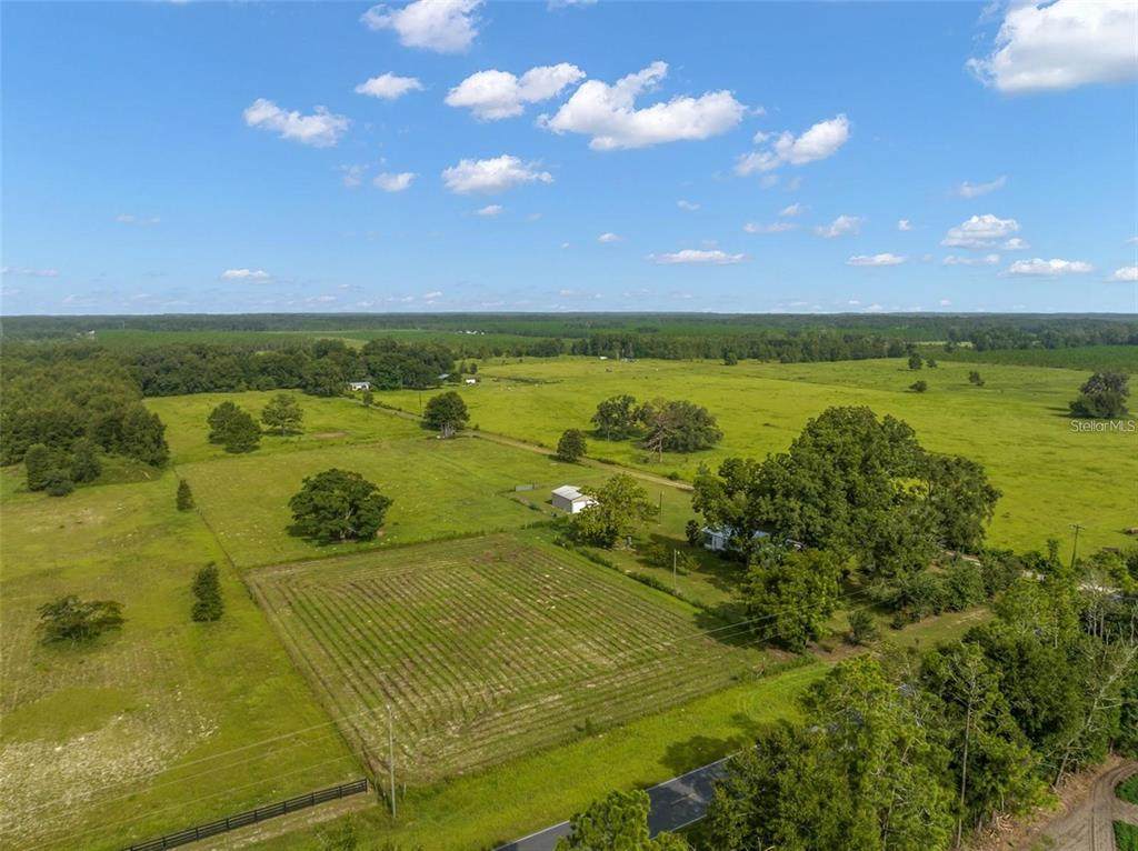 19433 County Road 349 - Photo 1