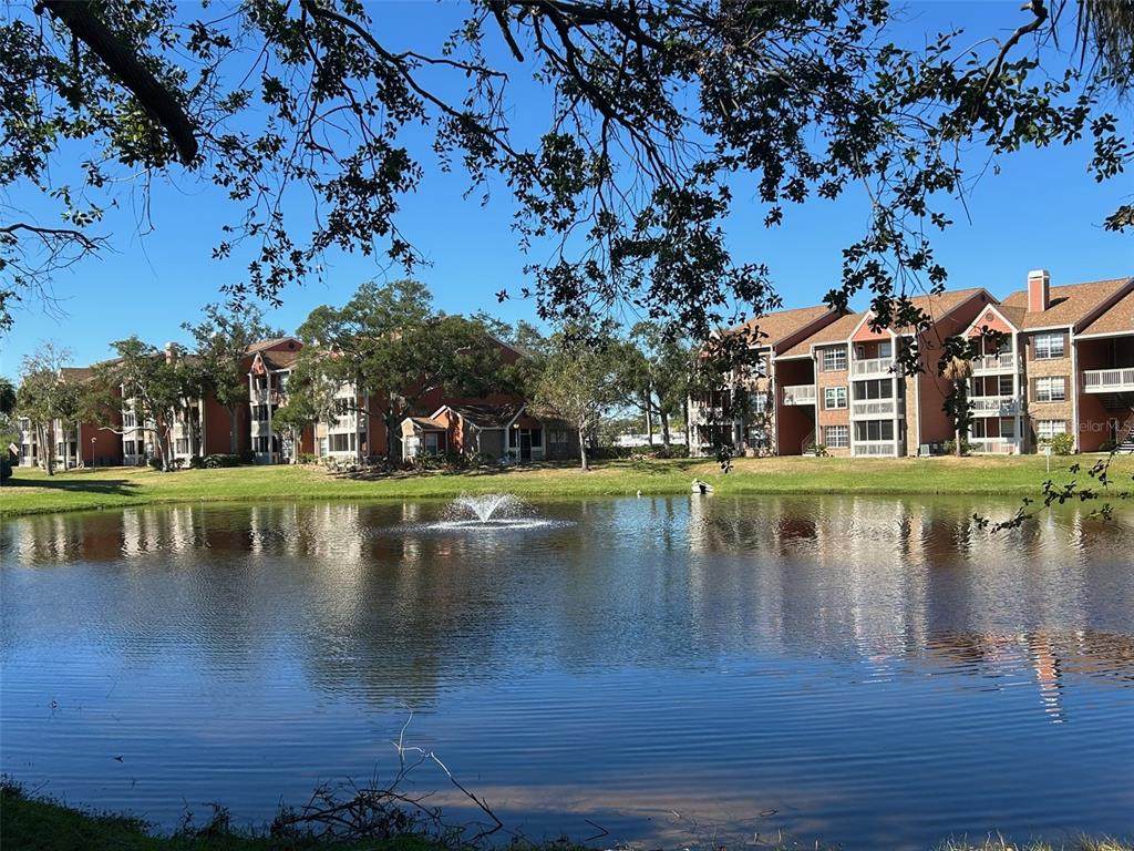 10200 Gandy Boulevard - Photo 1